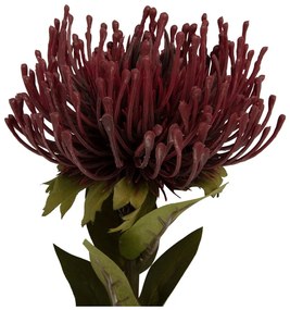 Fiore artificiale (altezza 60 cm) Protea - PT LIVING