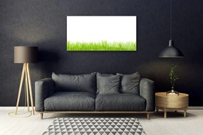 Quadro su vetro acrilico Erba, piante, natura 100x50 cm