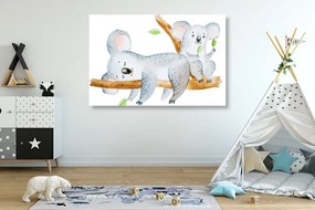 Stampa su tela – Koala adorabili