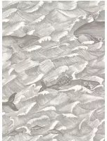 Cole & Son Carta da parati Melville - Black/ White