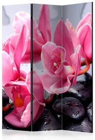 Paravento Fiori di Orchidea e Pietre - Rose rosa e sassi neri in stile zen