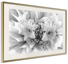 Poster  Crystal Lillies  Cornice Quadri Cornice d'oro con passe-partout, Larghezza x Altezza Home decor 30x20