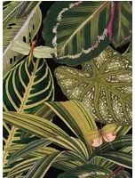 Mindthegap Carta da parati Amazonia - WP20159