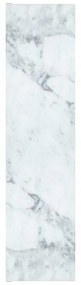 Pannello mdf decoro marmo Carrara lucido L 120 x H 60 cm Sp 19 mm multicolore