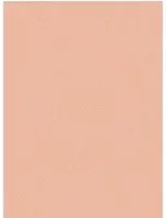 Tapete Coral von Cole and Son - Salmon