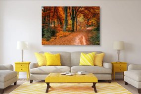 Stampa su tela – Foresta in autunno