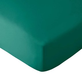 Lenzuolo con angoli verde scuro in microfibra 185x200 cm So Soft Easy Iron – Catherine Lansfield