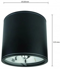 Applique da soffitto IP65 - Nera Colore del corpo Nero