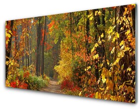 Quadro su vetro acrilico Natura Foresta d'autunno 100x50 cm