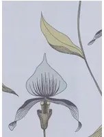 Cole & Son Carta da parati Orchid - Grau/ Blassblau