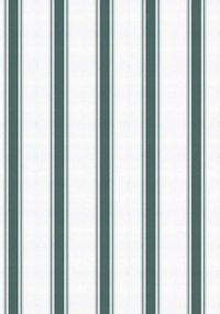 Coordonne Carta da parati Stripe 5 - Parra