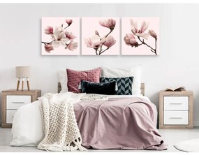 Quadro moderno Spectrum Rosa della Natura - delicato fiore di magnolia