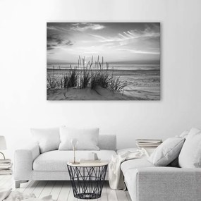 Quadro su tela, Erba sulla spiaggia grigia  Dimensioni 120x80