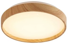 Rabalux 71143 - Plafoniera LED LEANA LED/12W/230V 3000K diametro 26 cm