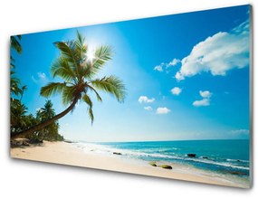 Quadro in vetro Palm Tree Beach Landscape 100x50 cm