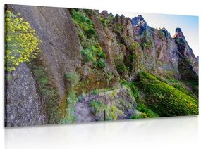Quadro su tela – Sentiero turistico stretto