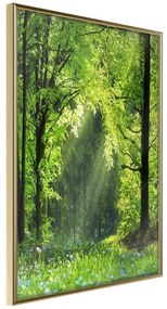 Poster  Forest Path  Cornice Quadri Cornice d'oro, Larghezza x Altezza Home decor 20x30