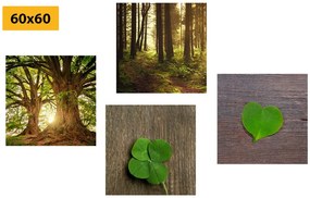 Set di quadri – Brezza della natura