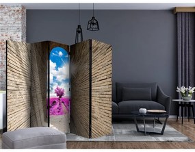 Paravento  Magical Passage II [Room Dividers]  Colore ---, Dimensioni e Misure 225x172