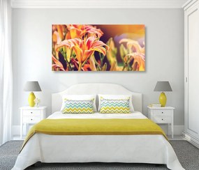 Stampa su tela – Splendidi fiori da giardino