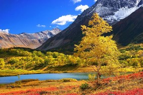 Carta da parati – Natura meravigliosa in Kamchatka