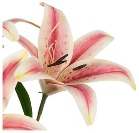 Fiori artificiali (altezza 58 cm) Lily - Ixia