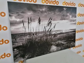 Stampa su tela – Tramonto sulla spiaggia in bianco e nero