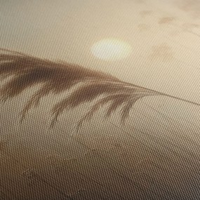 Quadro su tela – Canna in alba nebbiosa