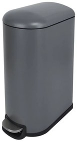 Pattumiera Casual Slim DELINIA a pedale grigio / argento 42 L