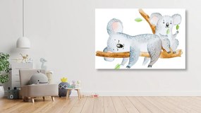 Stampa su tela – Koala adorabili