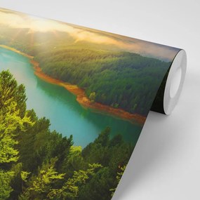 Carta da parati autoadesiva – Fiume nel mezzo della foresta