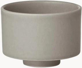 Tazza Makoto