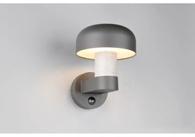 Illuminazione esterna con sensore di movimento da parete (altezza totale 24,5 cm) Fraser – Trio
