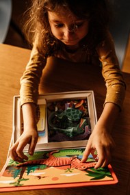 Magnéti'Book Dinosauri - 40 magneti