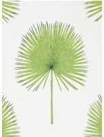Palmen Tapete Fan Palm von Sanderson - Botanical Green