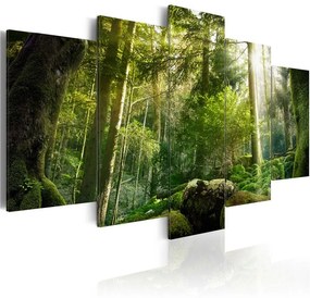 Quadro Fascino della foresta  Colore Marrone, Dimensioni e Misure 100x50