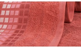 Asciugamano in cotone rosa 50x100 cm Darwin - My House