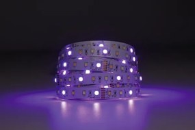 Eglo 99686 - Striscia LED RGBW dimmerabile 5m LED/11W/12/230V 2700-6500K