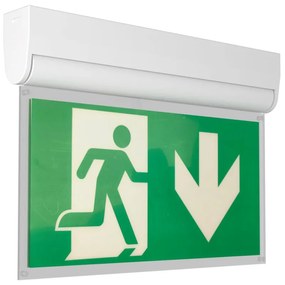 Lampada Emergenza a Bandiera, 3h, S.E S.A Cinema Mode - Bianca o nera Colore Bianco Freddo 6.000K, Colore del corpo Bianco
