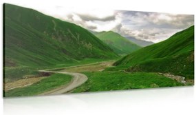 Stampa su tela – Natura verde