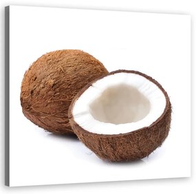 Quadro su tela, Frutta di cocco