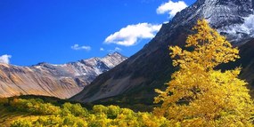 Stampa su tela – Natura magnifica in Kamchatka, Russia