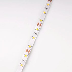 Striscia LED 5m LED/10W/12V IP20 3300K