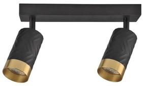 Faretto ARRAS 2xGU10/10W/230V nero