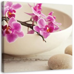 Quadro su tela, Orchidee rosa zen