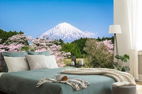 Carta da parati – Vulcano Fuji