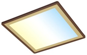 Briloner 7459-417 - Plafoniera LED dimmerabile DECO LED/24W/230V + +TC