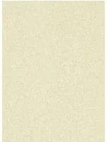 Sanderson Tapete Sessile Plain - Birch/ Multi