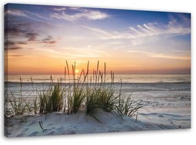 Quadro su tela, Spiaggia erba di mare tramonto