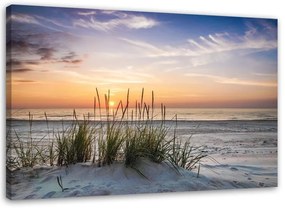 Quadro su tela, Spiaggia erba di mare tramonto  Dimensioni Tappeti 120x80